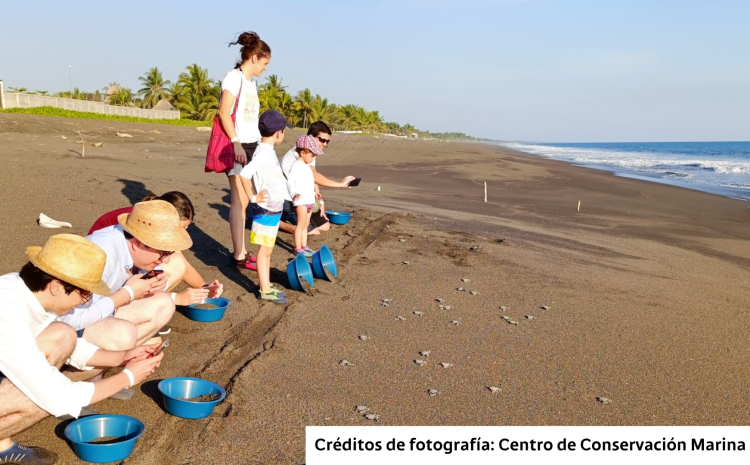 Logros Acuáticos: Bam Destaca Avances de ‘La Cuenta del Mar’