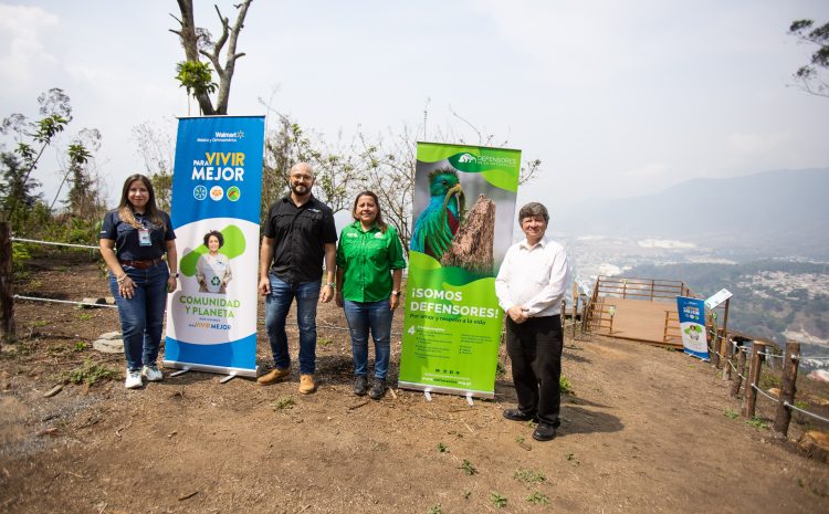  Explora la naturaleza: Walmart y Defensores de la Naturaleza lanzan ‘Mirador Vuelo Libre’