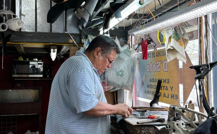  Centroamérica Sostenible: ecoins Presenta 200 Alternativas de Reparación