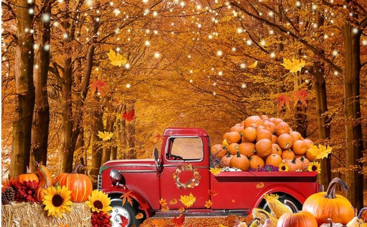  ¡El Otoño Llego para crear nuevos recuerdos!